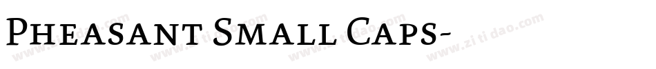 Pheasant Small Caps字体转换